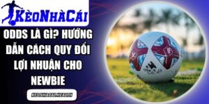 Odds Là Gì