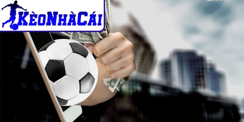 Nắm vững đặc điểm từng hệ